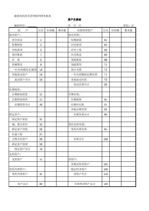 最新的民间非营利组织财务报表