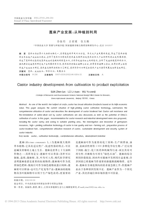 蓖麻产业发展_从种植到利用_孙振钧[1]