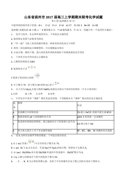 山东省滨州市高三上学期期末联考化学试题(有答案)-优质试卷