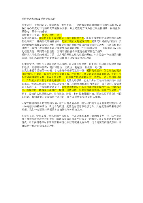 爱情是理想的一辩