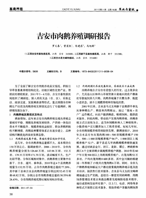 吉安市肉有鹅养殖调研报告