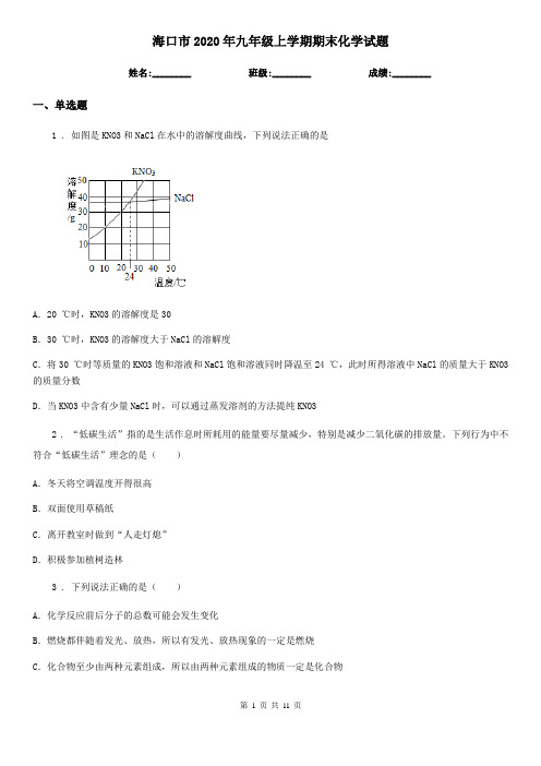 海口市2020年九年级上学期期末化学试题新版