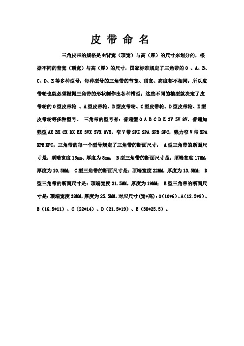 附录13皮带命名