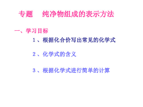 (杨)专题  纯净物组成的表示方法(湘教