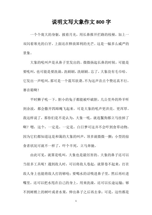 说明文写大象作文800字