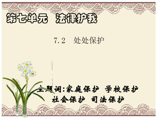 初中政治  处处保护 粤教版  优秀公开课件