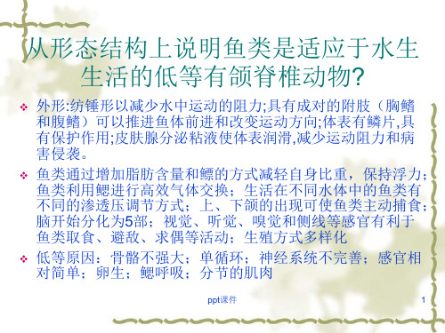 动物生物学两栖纲  ppt课件