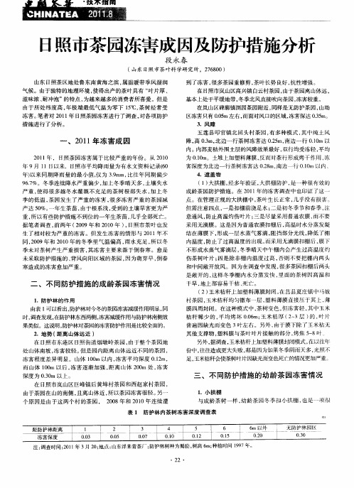 日照市茶园冻害成因及防护措施分析