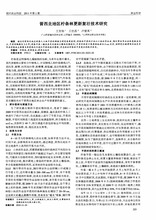 晋西北地区柠条林更新复壮技术研究