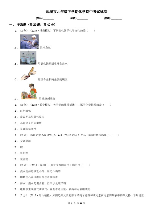 盐城市九年级下学期化学期中考试试卷