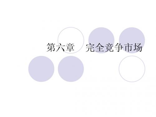 第六章完全竞争市
