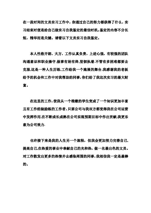 实习文员的自我鉴定