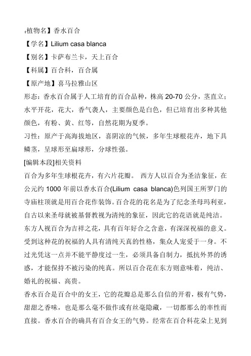 香水百合
