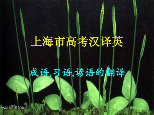 上海高考汉译英
