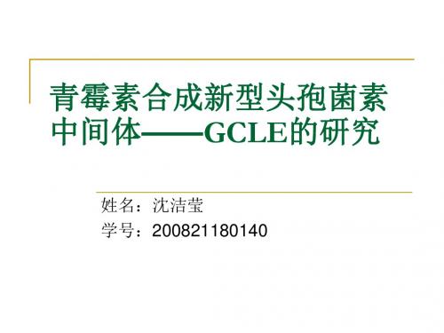 青霉素合成新型头孢菌素中间体——GCLE的研究