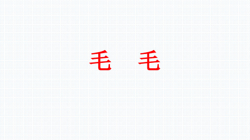 五年级下册语文课件-5.3 语文天地  导读课：毛毛 ▏北师大版.(共28张PPT)