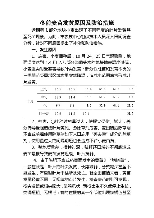 冬前麦苗发黄原因及防治措施
