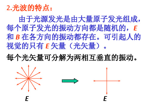 大学物理基础-光的偏振