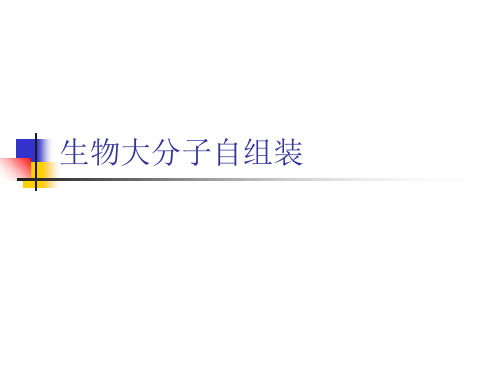生物大分子自组装.ppt