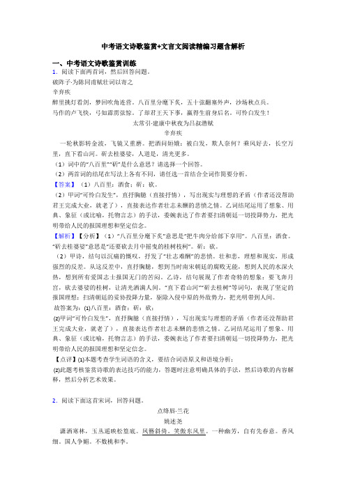 中考语文诗歌鉴赏+文言文阅读精编习题含解析