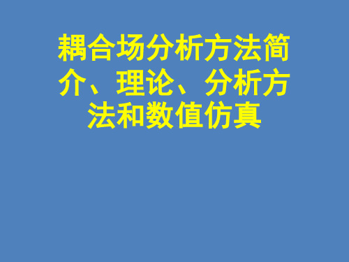 耦合场分析方法简介、理论、分析方法和数值仿真