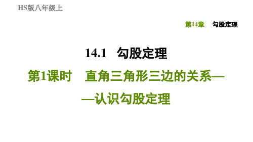 14.1.1直角三角形三边的关系——认识勾股定理-2020秋华师版八年级数学上册习题课件(共21张PPT)