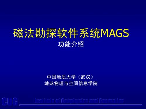 MAGS介绍(2.0)