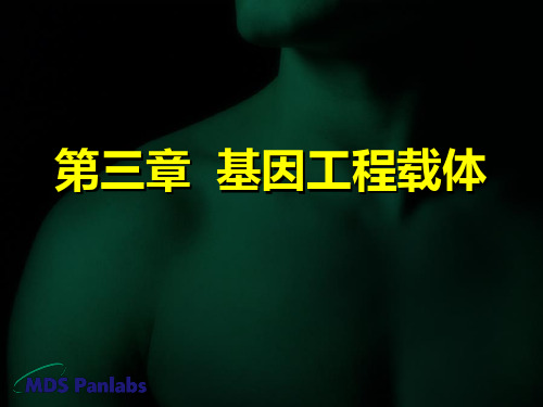 基因工程第三章载体143P
