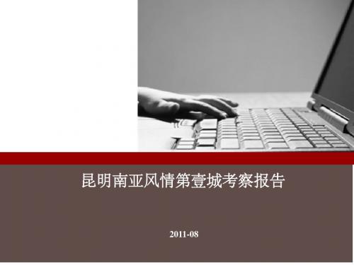 昆明南亚风情考察报告