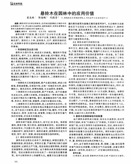 悬铃木在园林中的应用价值