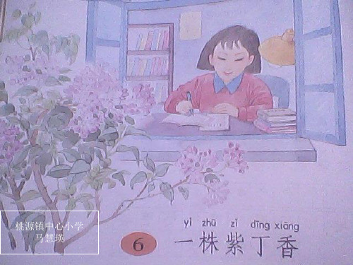 二年级一株紫丁香演示文稿1ppt课件