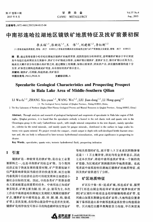 中南祁连哈拉湖地区镜铁矿地质特征及找矿前景初探