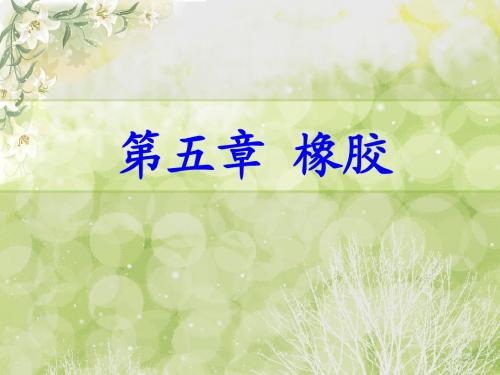 5第五章 橡胶