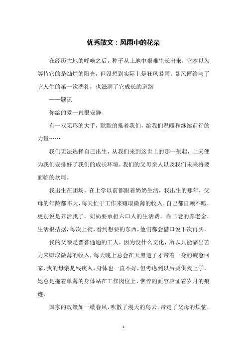优秀散文：风雨中的花朵