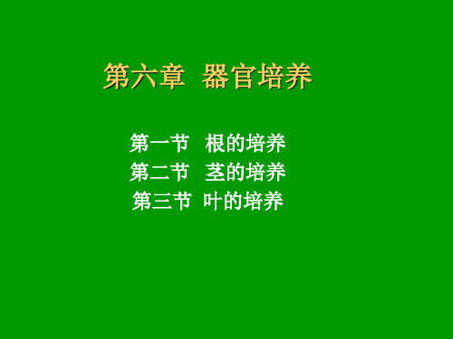 第六章 器官培养
