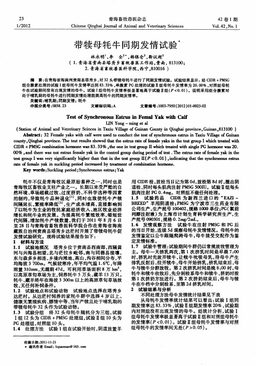带犊母牦牛同期发情试验