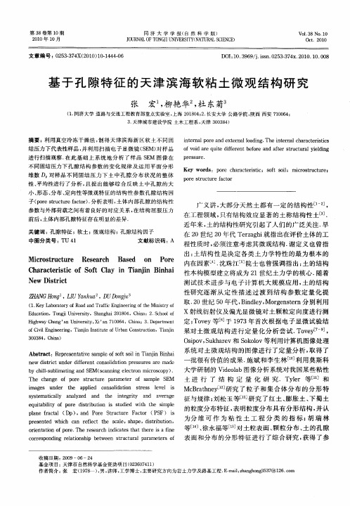 基于孔隙特征的天津滨海软粘土微观结构研究