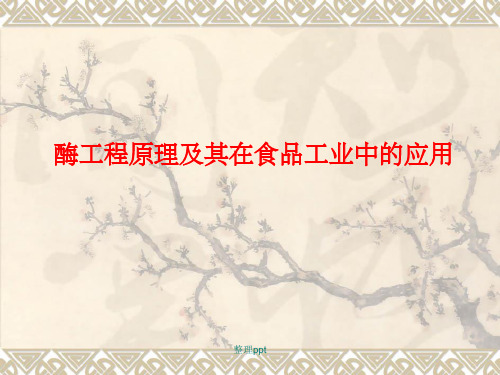 酶工程原理及其在食品工业中的应用