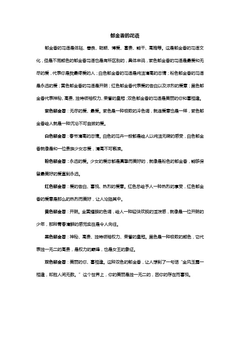 郁金香的花语