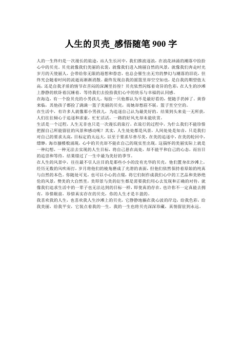 人生的贝壳_感悟随笔900字
