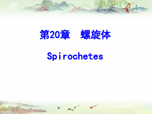 20 螺旋体——【医学微生物学精品讲义】