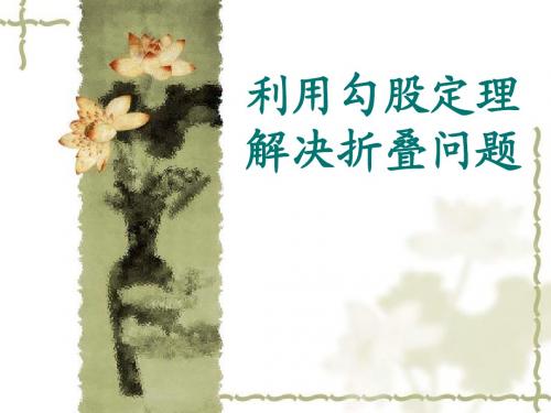 利用勾股定理解决折叠问题