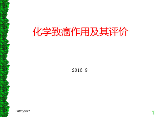 化学致癌作用及评价2016MPH