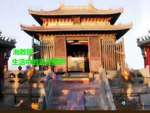 第一节生活中的法律保护PPT课件