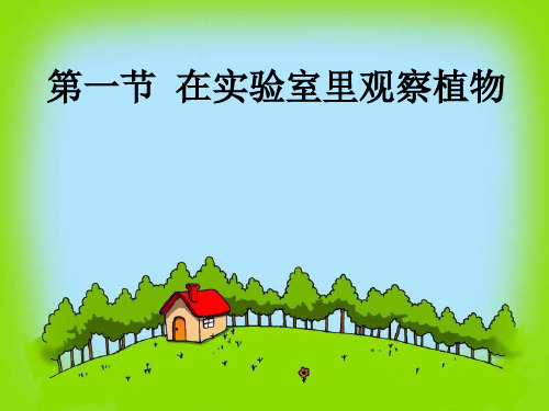 冀少版生物七年级上册 1.3.1 在实验室里观察植物 课件 (3)