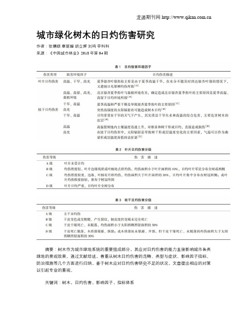 城市绿化树木的日灼伤害研究