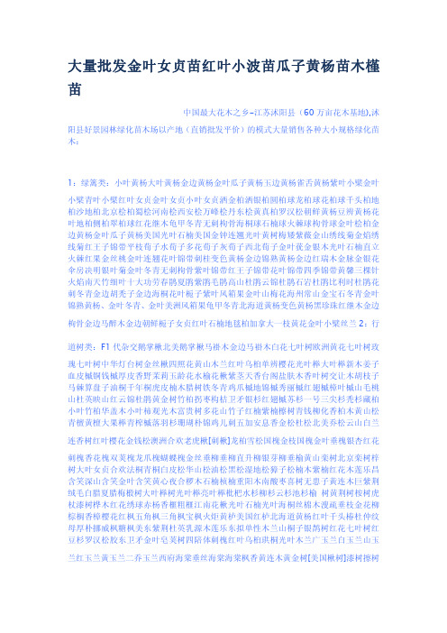 大量批发金叶女贞苗红叶小波苗瓜子黄杨苗木