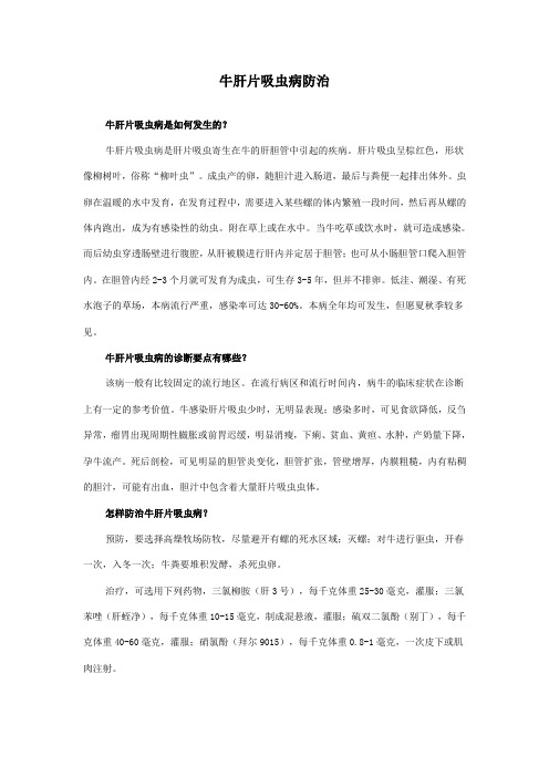牛肝片吸虫病防治