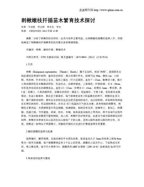 刺楸嫩枝扦插苗木繁育技术探讨