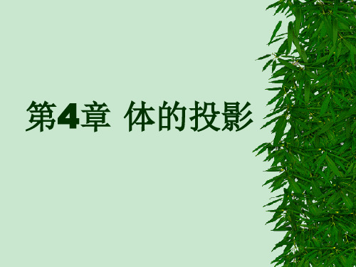 课件 园林制图 人教版 第四章